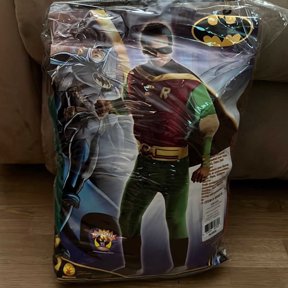Robin- Halloween Costume